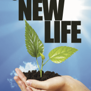 Your New Life: A Handy Guide to Successful Christian Living (2nd Edition)