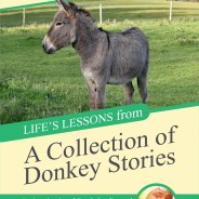 Life’s Lesson from a Collection of Donkey Stories (1st edition)