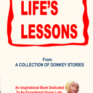 Life’s Lesson from a Collection of Donkey Stories (2nd edition)